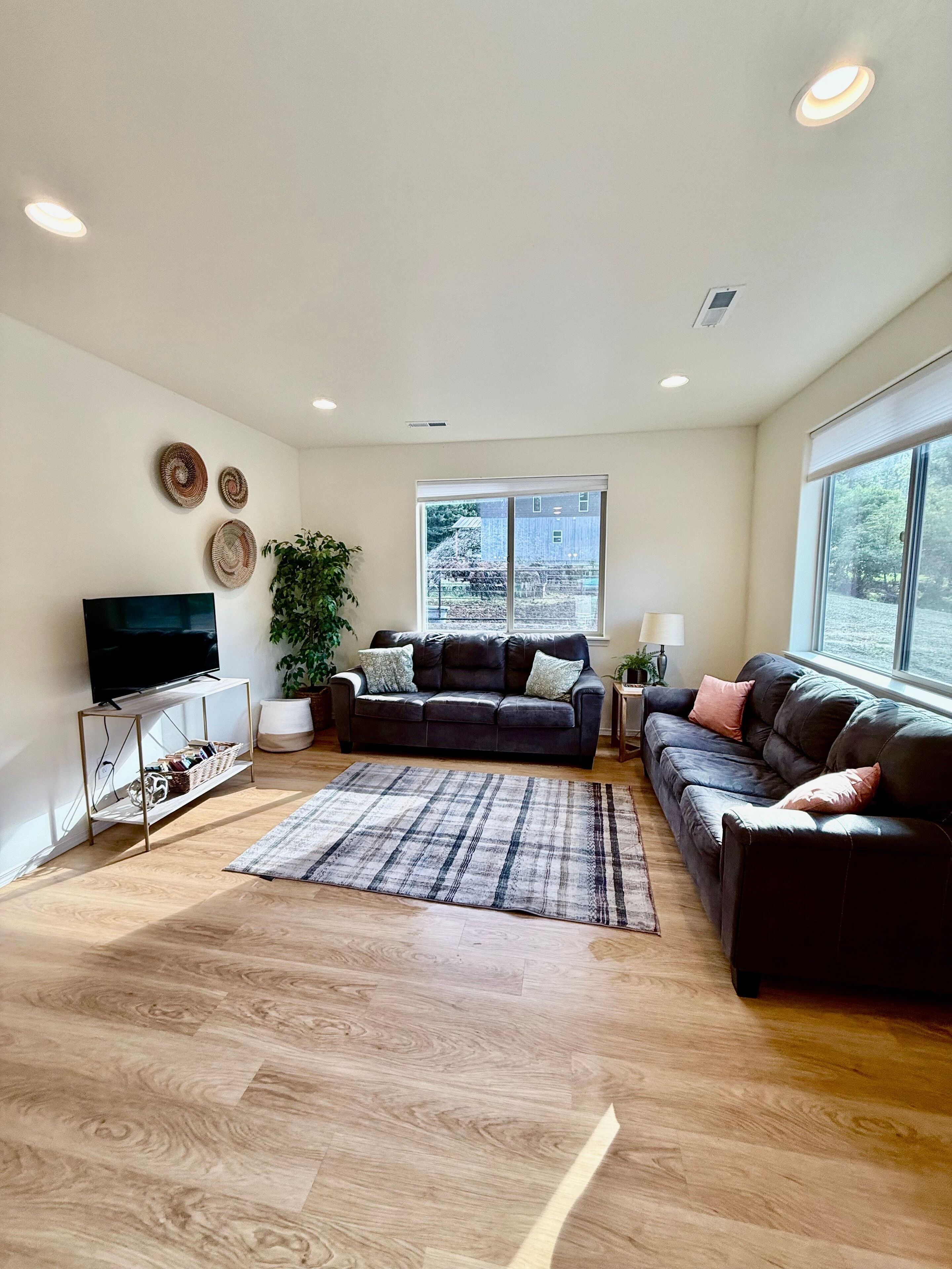 电视、乒乓球、书