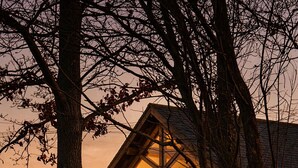 Un rustico chalet con facciata in pietra e ampie finestre, immerso tra gli alberi.
