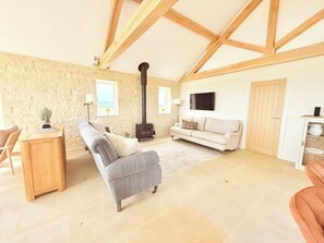 Smart TV, lareira, livros, aparelho de som