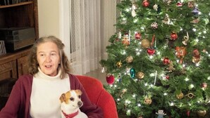 A person sitting on a red chair holding a small dog, with a Christmas tree decorated with ornaments and lights in the background. - Jersey Street Gem: Charming 1 Bedroom 1Bathroom (San Francisco)