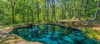 The Woodland Clubhouse + Golf Sim l Fishing