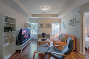 Smart TV, fireplace, books