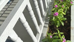 Une balustrade blanche, ornée de balustres verticaux régulièrement espacés, et une rangée de plantes vertes aux fleurs roses qui poussent le long de la base.