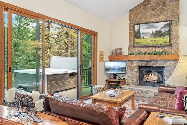 Télévision, cheminée, lecteur de DVD