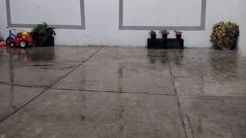 A concrete floor with a red toy car and potted plants against a wall with large gray rectangles.