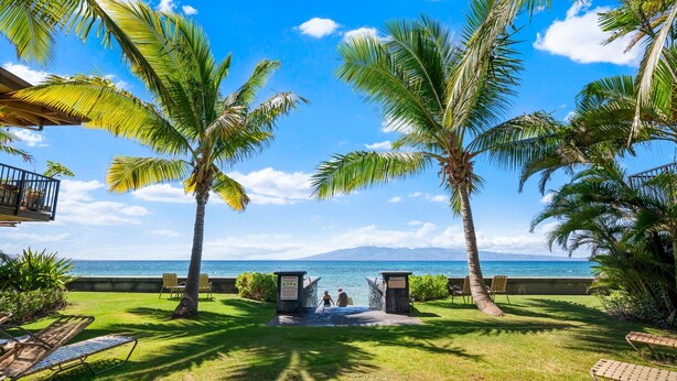 A tropical resort with palm trees, a pool area, and a view of the ocean.