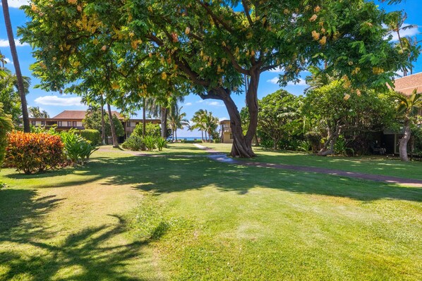 A well-maintained garden with a large tree, a pathway, and a building in the background.
