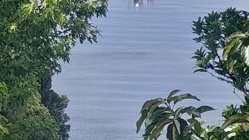 A boat on calm water surrounded by dense foliage.
