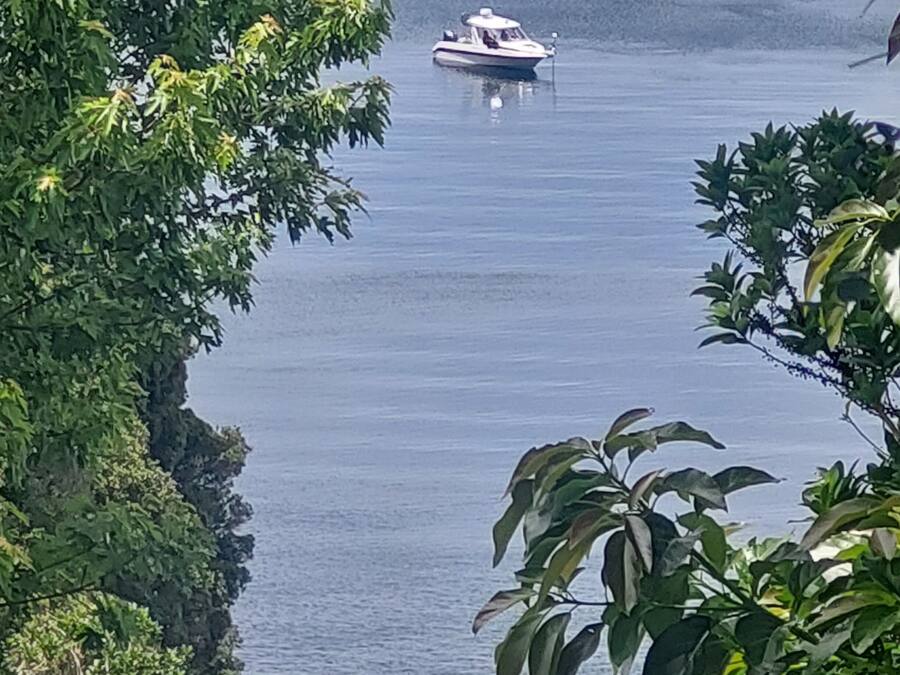 A boat on calm water surrounded by dense foliage.