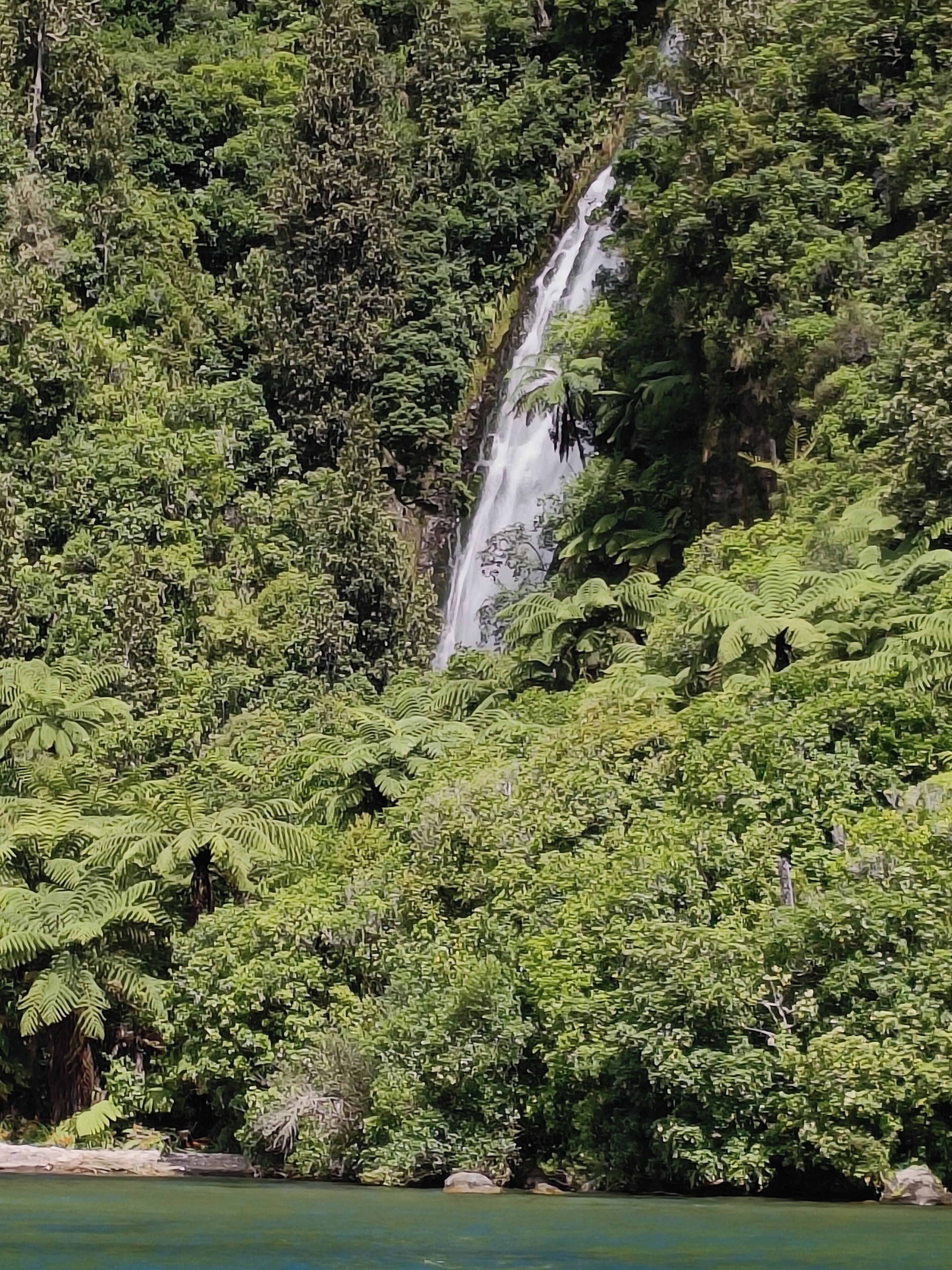 A waterfall surrounded by dense green foliage.