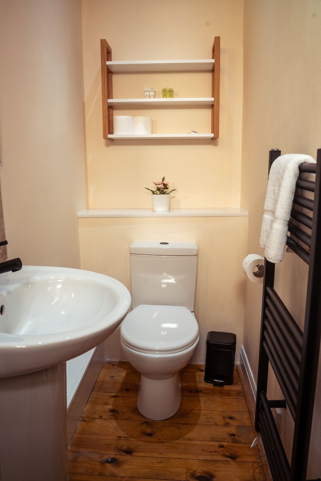 Double Room (Room 3) | Bathroom | Towels