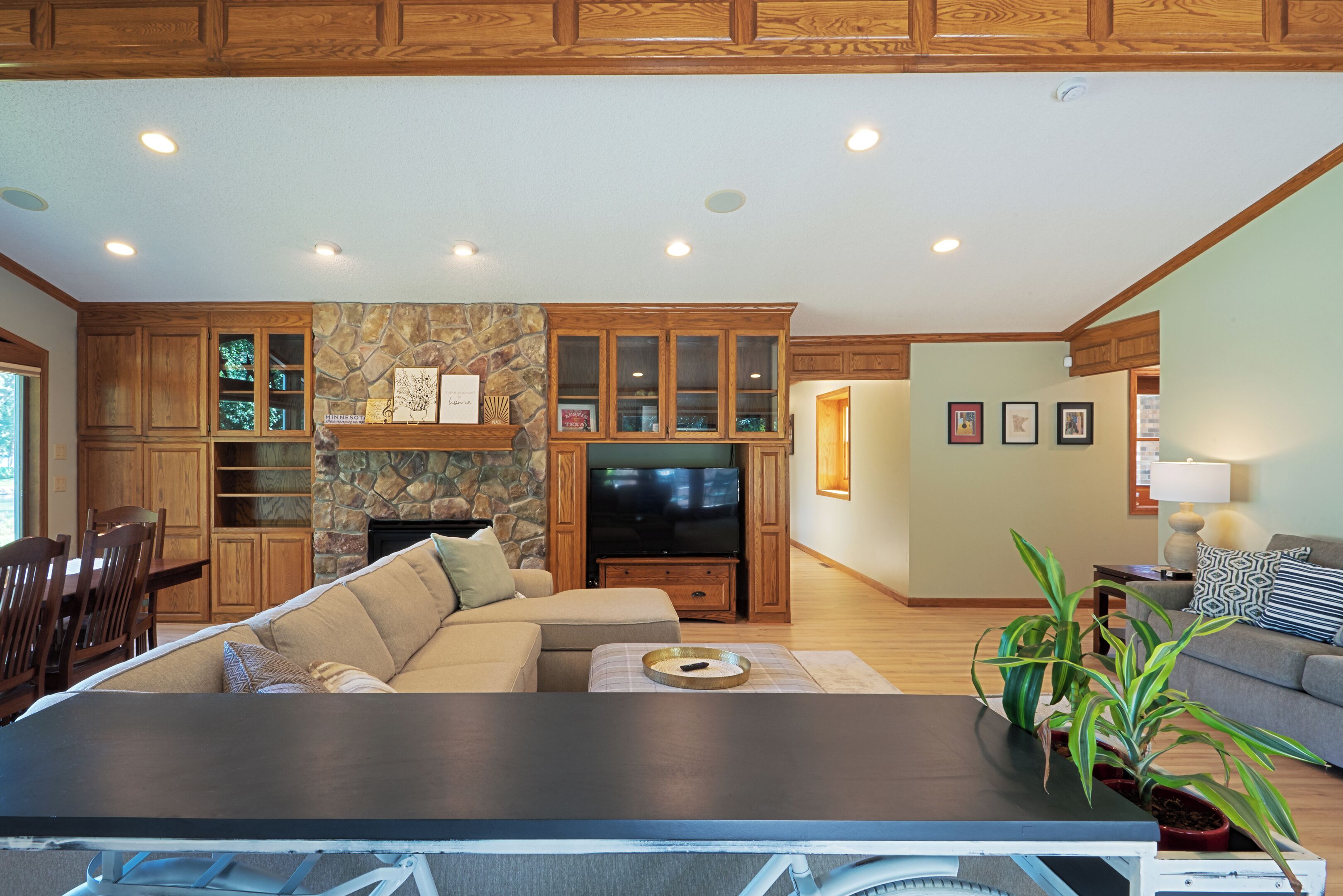 Smart TV, chimenea, reproductor de DVD y libros 