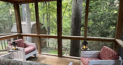 4-bedroom cabin in idyllic Lost River WV - dog and kid friendly!