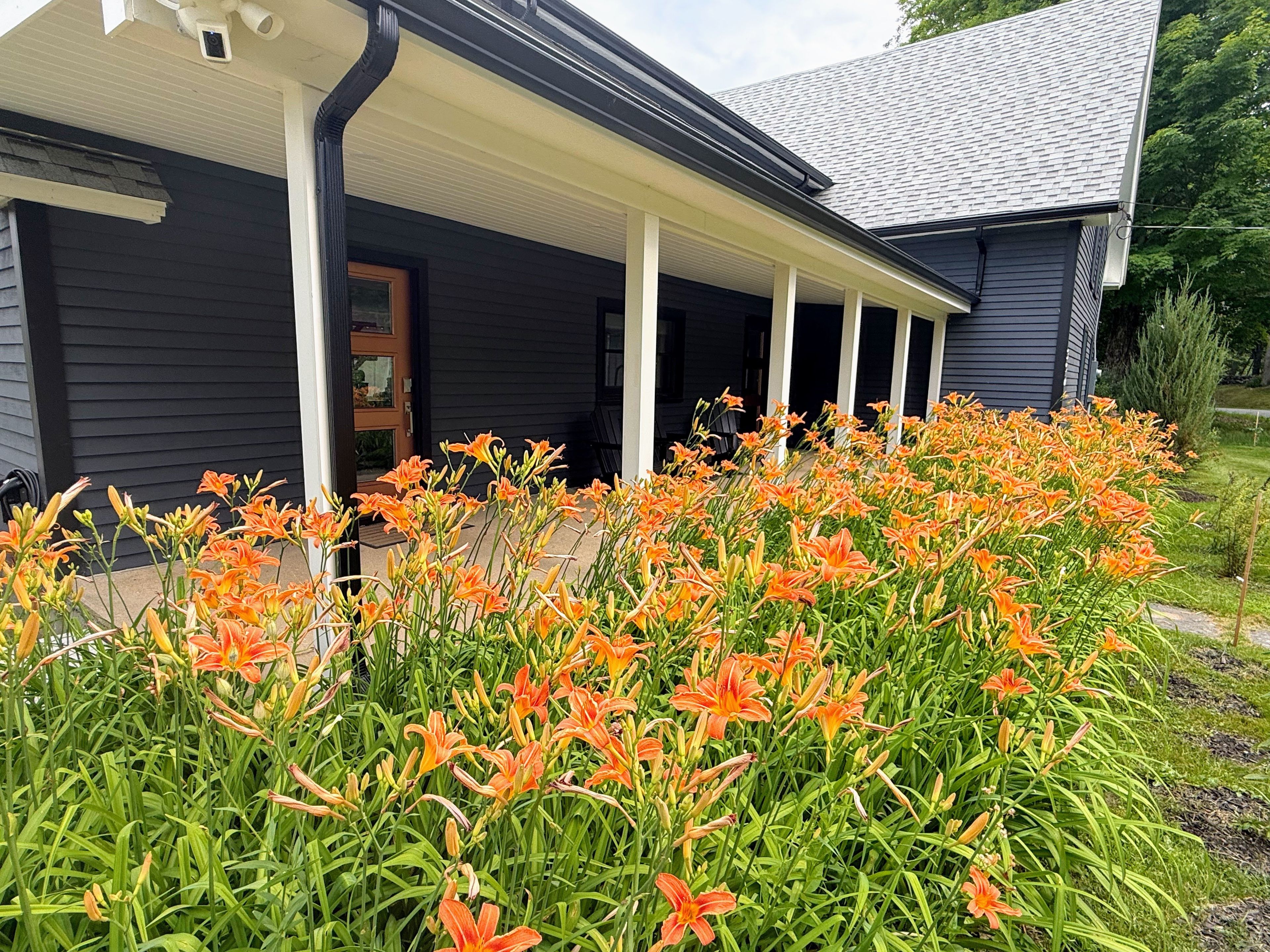 A house with a porch and a garden of orange lilies.
