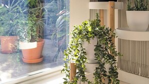 Una ventana con vista a un jardín, un soporte de madera para plantas con macetas diversas, y un radiador en la pared.