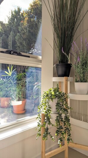 A window with a view of a garden, a wooden plant stand with various potted plants, and a radiator on the wall.