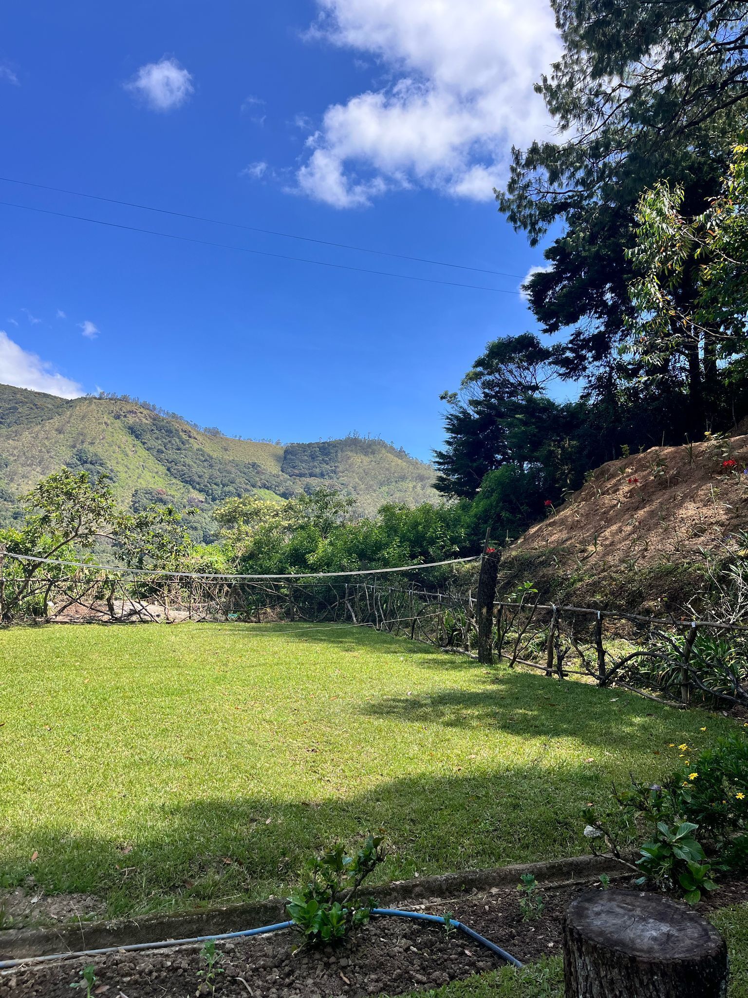 A grassy field with a wooden fence, trees, and a hilly landscape in the background.