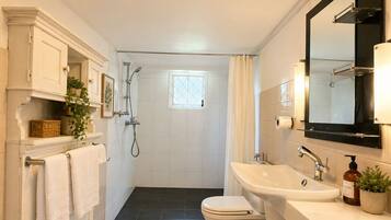 Hair dryer, bidet, towels, soap