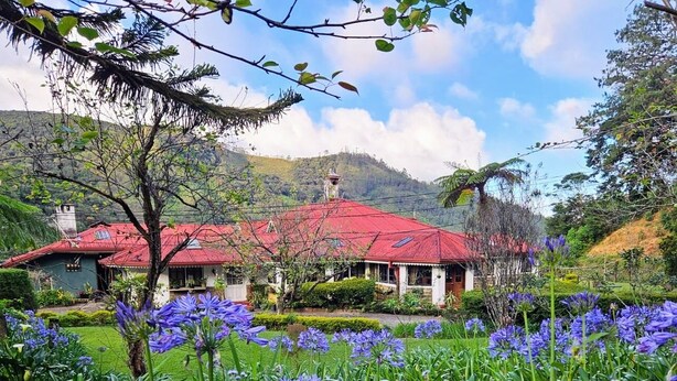 A house with a red roof surrounded by a garden with purple flowers.