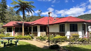 A two-story building with a red roof, surrounded by lush greenery and a clear blue sky.