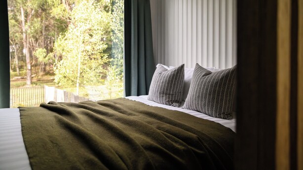 A bedroom with a bed, a view of trees through a window, and a curtain.