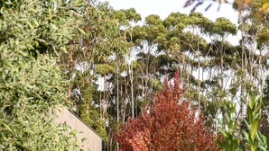 A gravel pathway leading to a rustic wooden building surrounded by lush greenery and trees with autumn foliage. - The Retreat - Reconnect with nature in style (Musk)