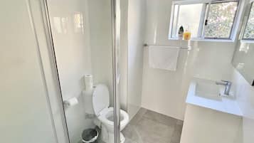 Shower, hair dryer, towels, toilet paper