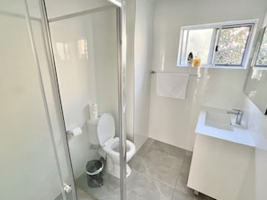 Shower, hair dryer, towels, toilet paper