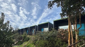 A row of modern, dark-colored buildings with green roofs, surrounded by dense vegetation and trees. - Huillín Lodge (Chonchi)