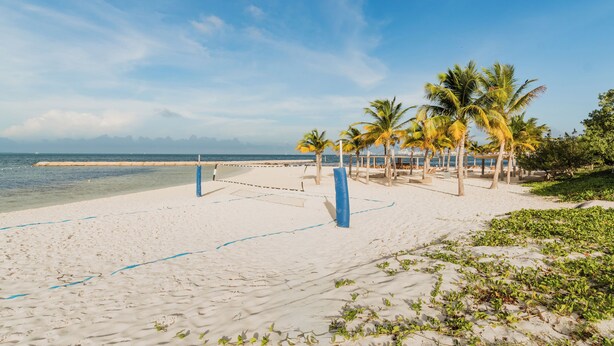 A beach with a volleyball net, palm trees, and a clear sky. - Modern apartment in Puerto Cancun with partial ocean and marina view 🌊 (Puerto Cancun)