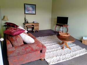 Televisor