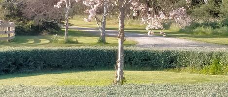 Áreas de la propiedad