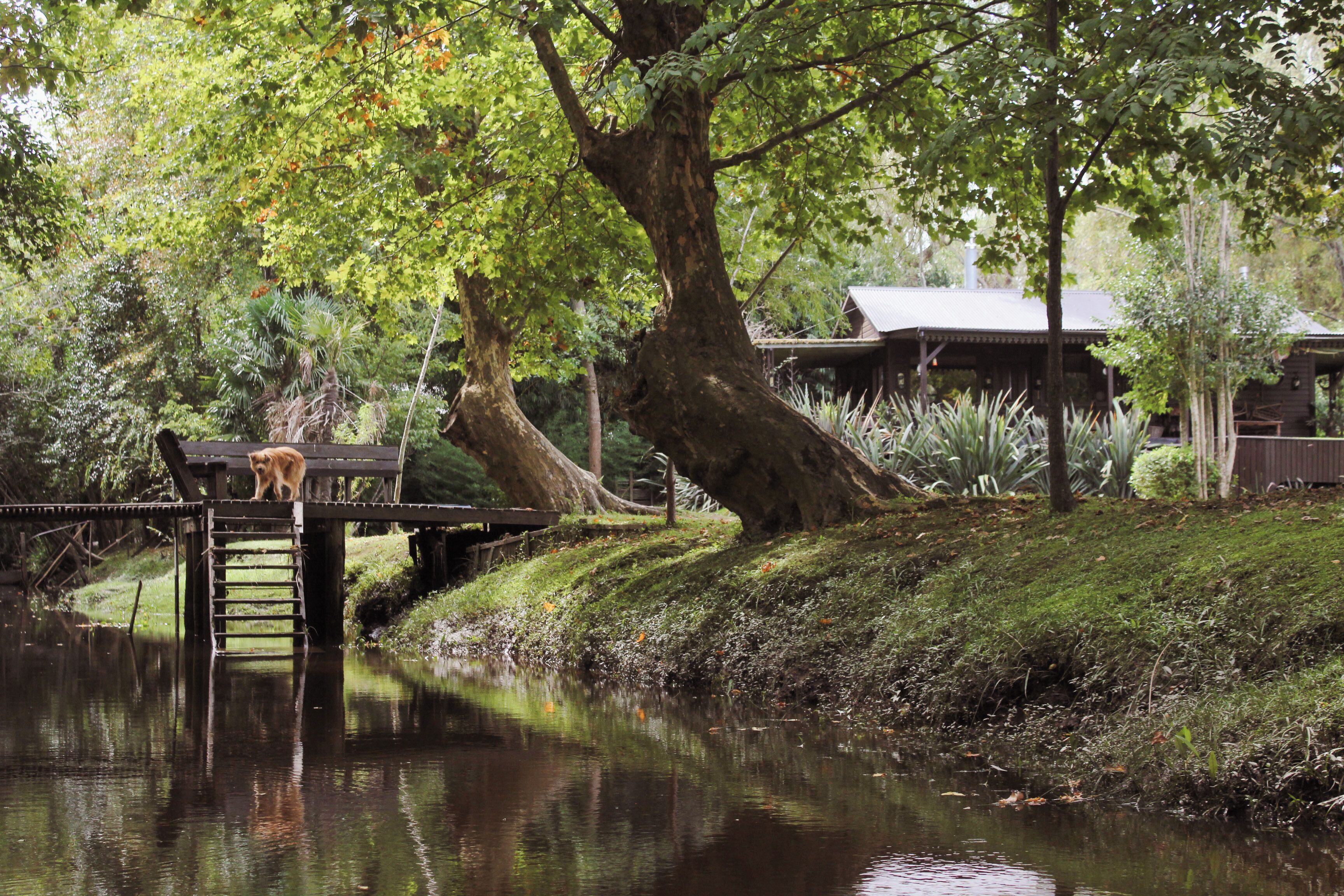 Overnatningsstedets område