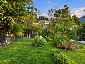 Un jardin bien entretenu, avec une grande variété de plantes et une zone délimitée par une clôture.