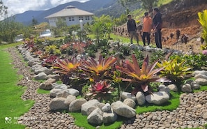 Jardines del alojamiento