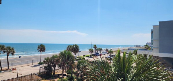 A coastal view with a beach, palm trees, and a road leading to a parking area.