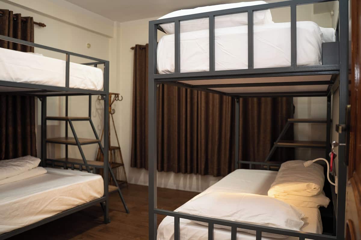 Comfort Shared Dormitory | Laptop workspace