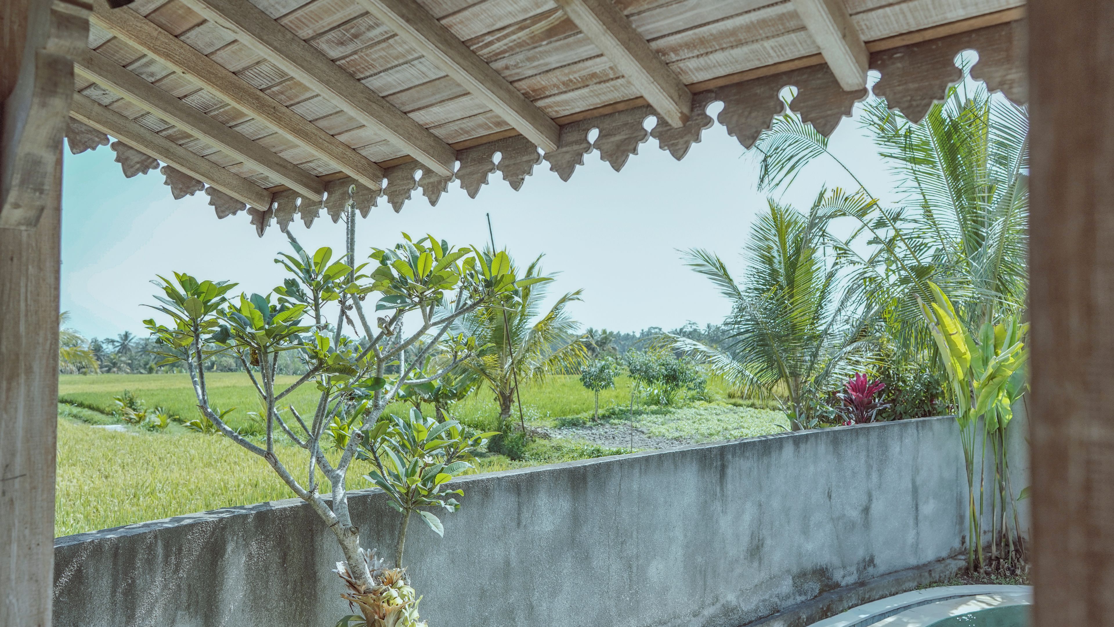 Un espacio al aire libre techado con vistas a un paisaje verde exuberante, que incluye un muro de hormigón y diversas plantas.