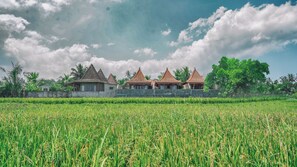 A traditional building with multiple roofs, surrounded by a lush green field.