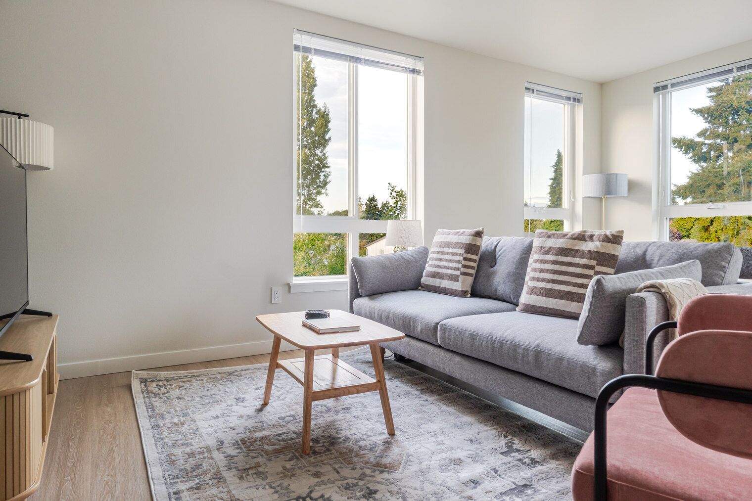 تلفزيون، ستيريو