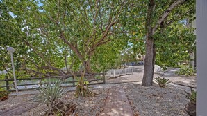 A paved pathway with a brick border, surrounded by gravel and small plants. - Suntastic -  Salt Water Lagoon Front 2 Bedroom in popular OCEAN FRONT Kawama (Key Largo)
