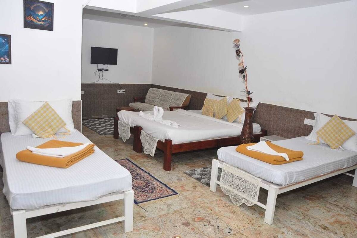 A hotel room with two single beds, a sofa bed, a TV, and a decorative plant.
