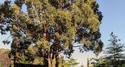 The Barn at Stonewalls - Farm stay in 25 acres In Daylesford
