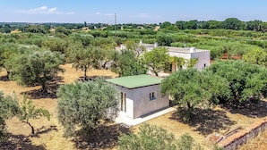 A small, single-story building with a green roof, surrounded by olive trees and dry grass, with a clear sky in the background. - Lamia Terra 3br, Terrace & BBQ (Castellana Grotte)