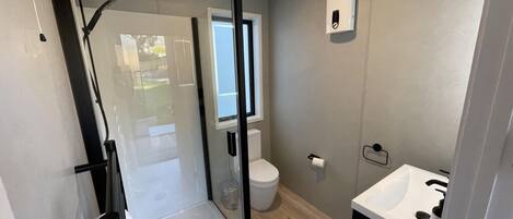 Une salle de bain moderne avec une douche à l’italienne, des toilettes et un lavabo.