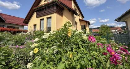Apartment in the Thuringian Forest with balcony