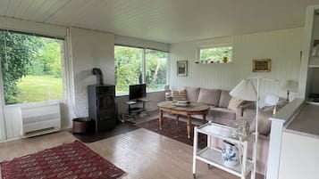 Fernseher, Kamin
