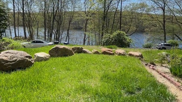 Une zone herbeuse avec des rochers et des arbres, située près d’une étendue d’eau.
