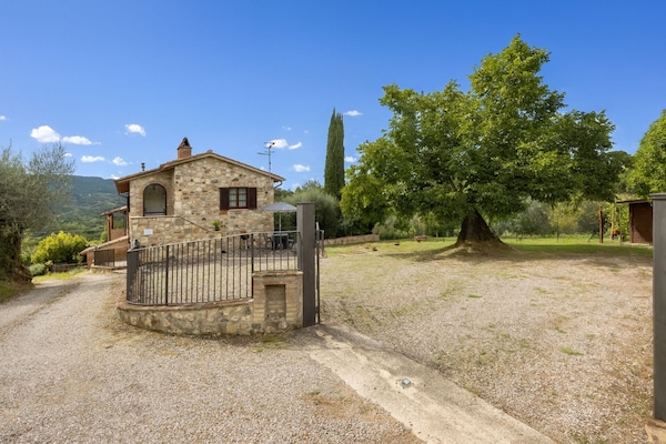 Autumn, Garden, Spring, Summer