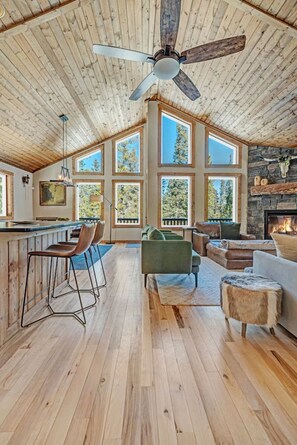 TV, fireplace